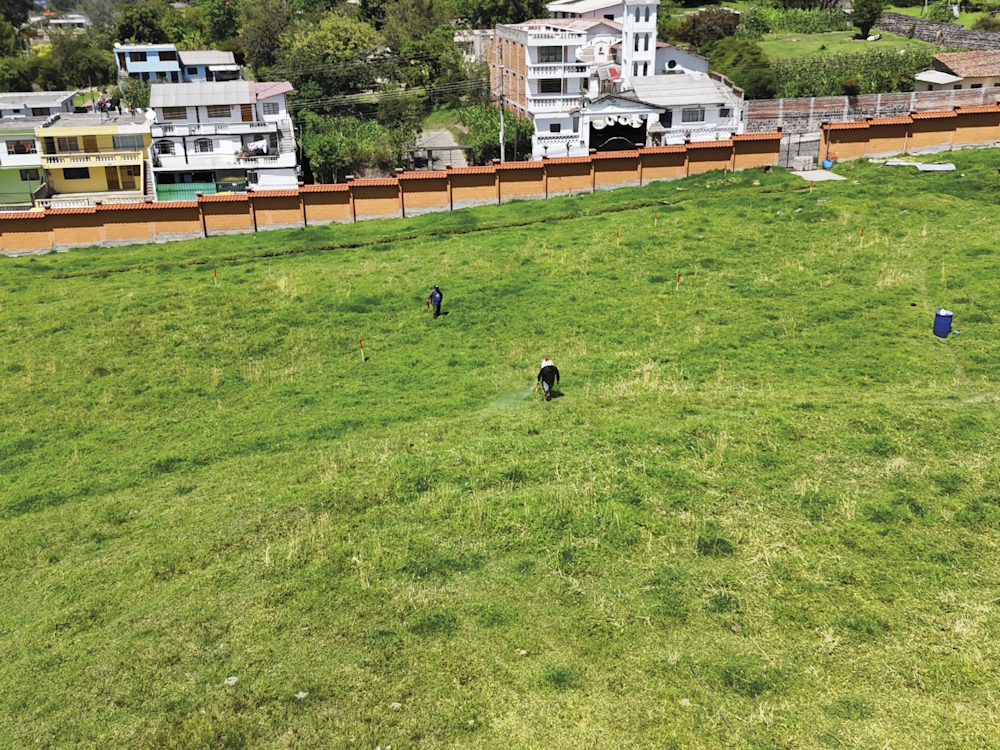 GEMA PAG_Mesa de trabajo 1-06