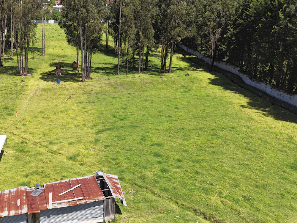 GEMA PAG_Mesa de trabajo 1-08