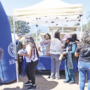 MIRADOR DEL SUIR_Mesa de trabajo 1-16