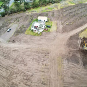 MONTE VERDE_Mesa de trabajo 1-04