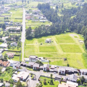 MONTE VERDE_Mesa de trabajo 1-11