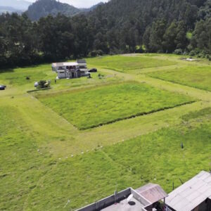 MONTE VERDE_Mesa de trabajo 1-13