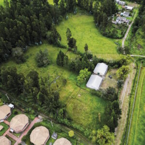 Musuq Allpa_Mesa de trabajo 1-03