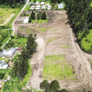 Musuq Allpa_Mesa de trabajo 1-17