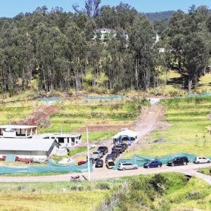 Musuq Allpa_Mesa de trabajo 1-20