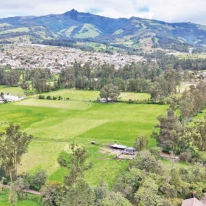 Villas_Mesa de trabajo 1-03