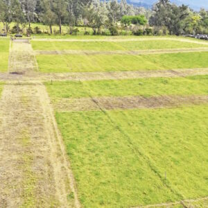 Villas_Mesa de trabajo 1-05