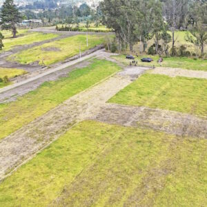 Villas_Mesa de trabajo 1-06