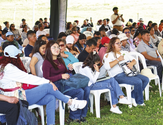 Villas_Mesa de trabajo 1-13