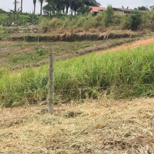 WhatsApp Image 2026-01-29 at 11.32.16