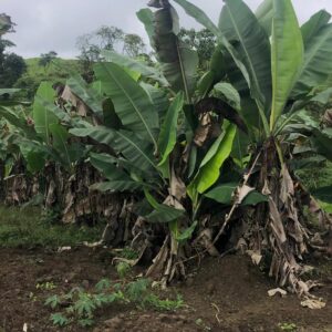 WhatsApp Image 2026-01-29 at 11.32.17