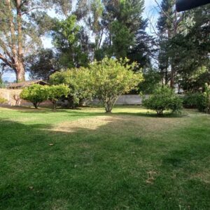 Imagen-de-WhatsApp-2025-07-04-a-las-18.40.20_fae39581