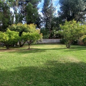 Imagen-de-WhatsApp-2025-07-04-a-las-18.40.20_fe5a658b