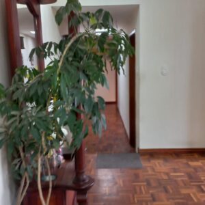 Imagen-de-WhatsApp-2025-07-23-a-las-18.55.45_4f2e9c1e